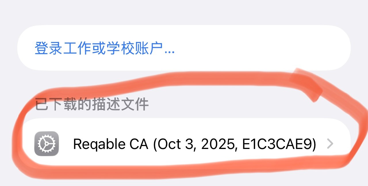 点击安装
